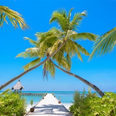 金沙集团186cc成色官方版下载