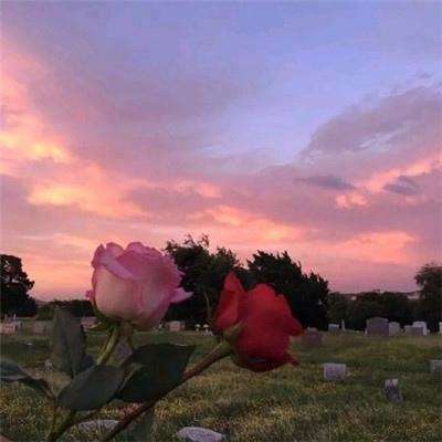 BOB·体育综合APP