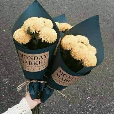 开元ky888vip截图