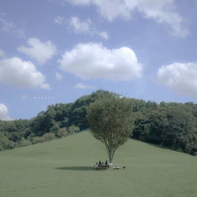 BOB体育登录入口APP下载ios