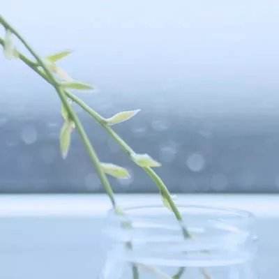 乐鱼APP下载手机版